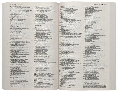 NLT HOLY BIBLE ECONOMY OUTREACH EDITION GREEN