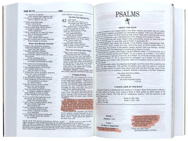 B CEV POVERTY & JUSTICE BIBLE