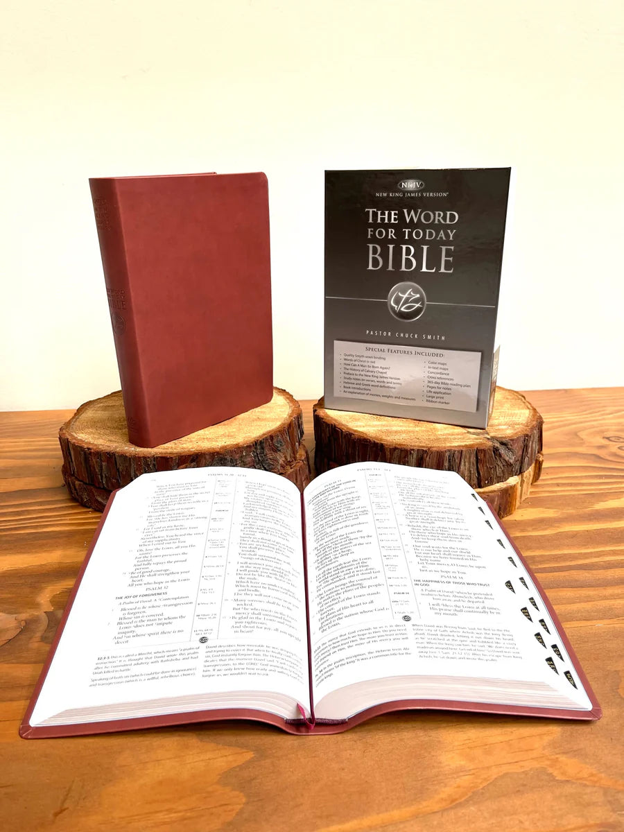 B NKJV WORD FOR TODAY BIBLE BURGUNDY INDEXED LARGE PRINT (RED LETTER)