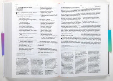 B NIV BIBLE SPEAKS TODAY STUDY BIBLE