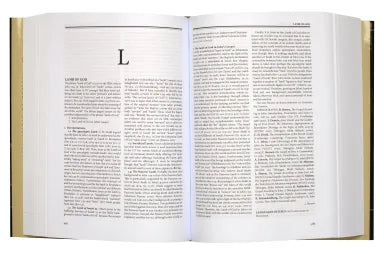 DICTIONARY OF JESUS AND THE GOSPELS (2ND EDITION)