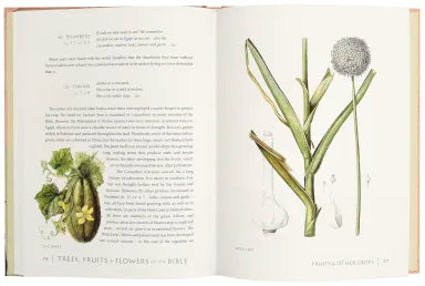 TREES FRUITS AND FLOWERS OF THE BIBLE: A GUIDE FOR BIBLE READER'S AND NATURALISTS