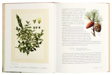 TREES FRUITS AND FLOWERS OF THE BIBLE: A GUIDE FOR BIBLE READER'S AND NATURALISTS