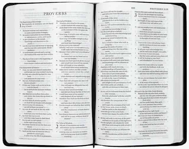 B ESV PREMIUM CHURCH BIBLE BLACK