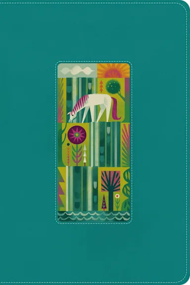 B ESV THE BIGGEST STORY HOLY BIBLE FOR KIDS TEAL WATERFALL DESIGN