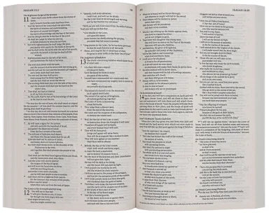 ESV ECONOMY BIBLE (BLACK LETTER EDITION)