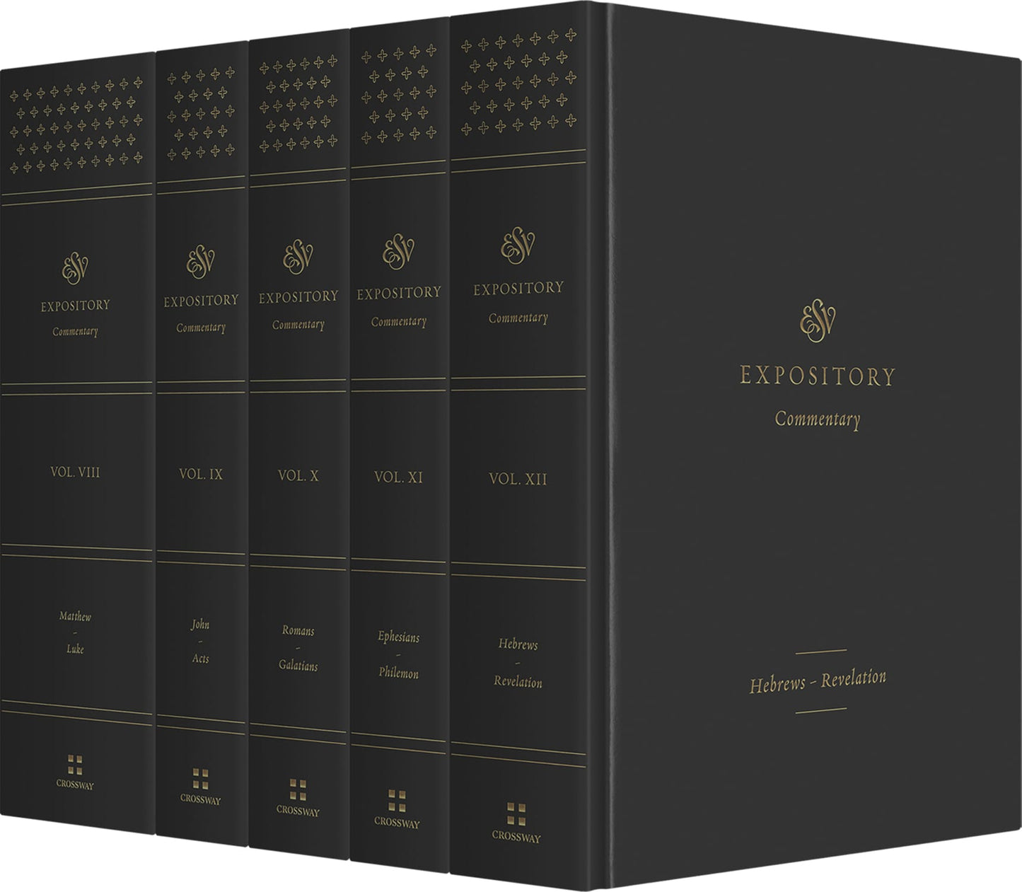 B ESV EXPOSITORY COMMENTARY (NEW TESTAMENT SET) (ESV EXPOSITORY COMMENTARY SERIES)
