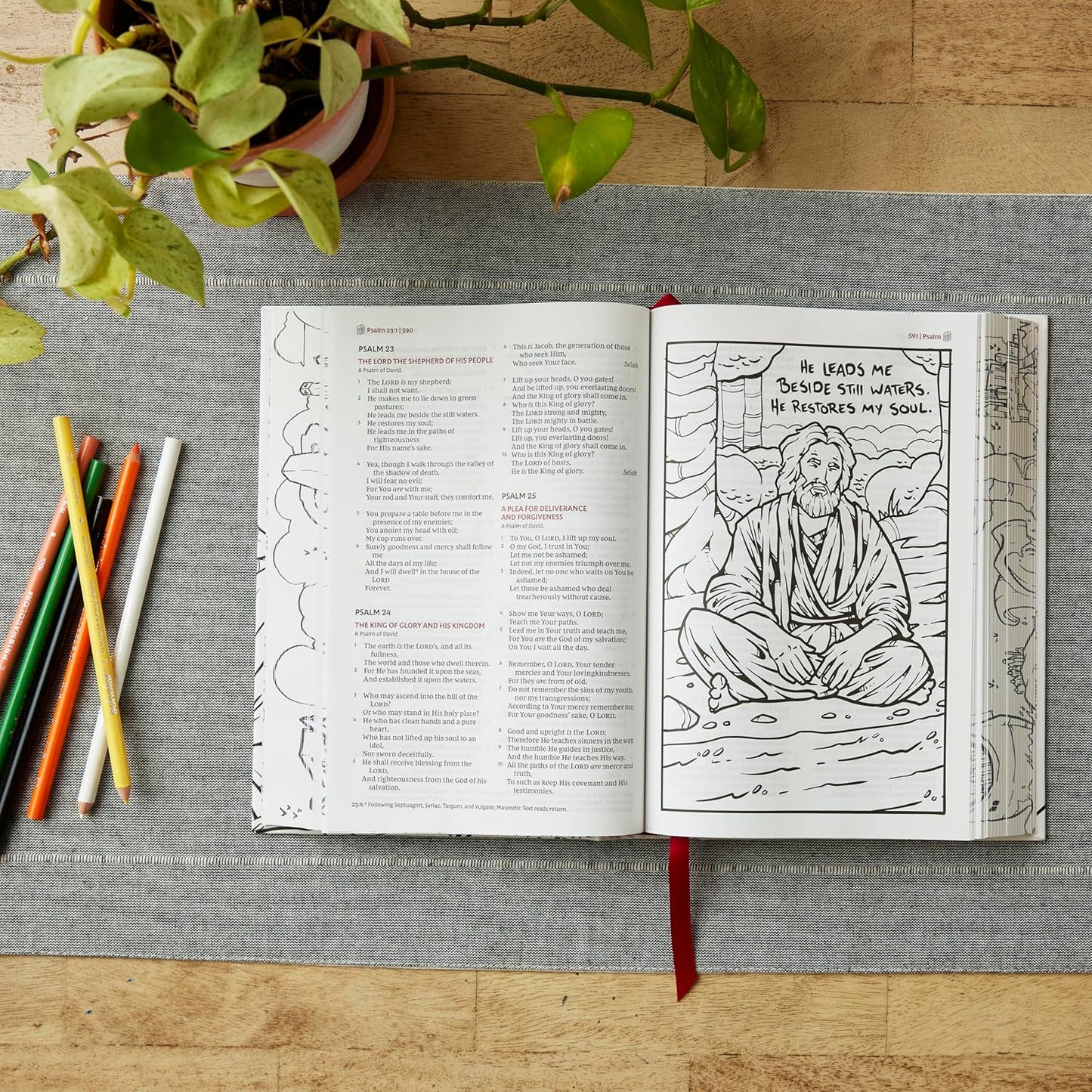 B NKJV SKETCHBOOK BIBLE BROWN (RED LETTER EDITION)