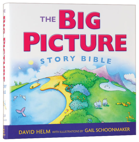 BIG PICTURE STORY BIBLE  THE