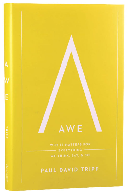 AWE: WHY IT MATTERS FOR EVERYTHING WE THINK  SAY  AND DO