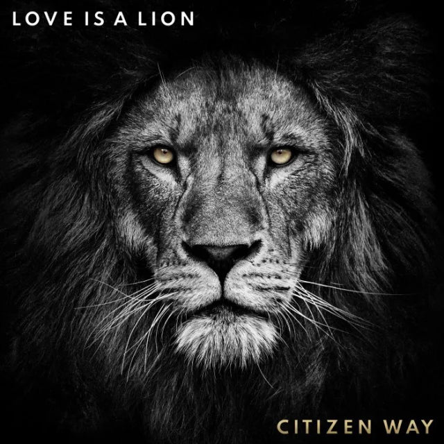 LOVE IS A LION
