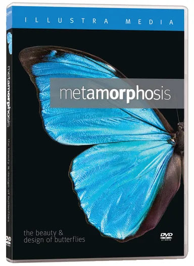 DVD METAMORPHOSIS