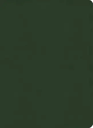 B NASB STUDY BIBLE  OLIVE (BLACK LETTER EDITION)
