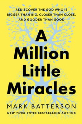 A MILLION LITTLE MIRACLES: REDISCOVER THE GOD WHO IS BIGGER THAN BIG  CLOSER THAN CLOSE  AND GOODER THAN GOOD