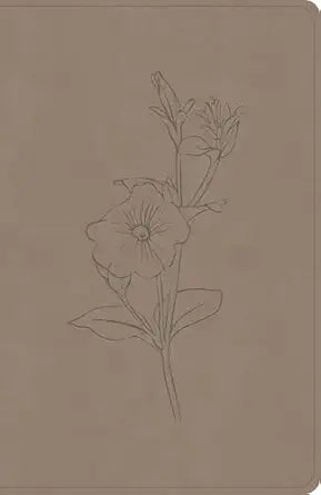 B CSB PERSONAL SIZE GIANT PRINT BIBLE EARTH (RED LETTER EDITION)