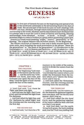 KJV LARGE PRINT REFERENCE HOLY BIBLE  BROWN (SOVEREIGN COLLECTION  RED LETTER)