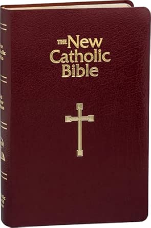 NCB GIFT & AWARD BIBLE  BURGUNDY (RED LETTER EDITION)