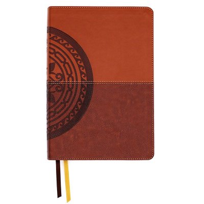 B NIV APPLICATION BIBLE  BROWN  THUMB INDEXED (RED LETTER EDITION)