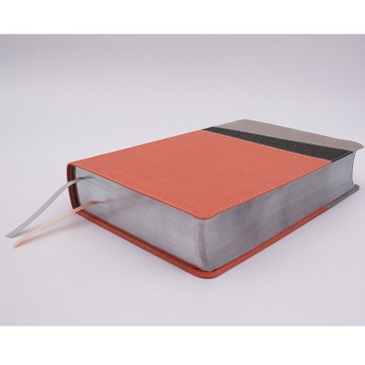 B NIV APPLICATION BIBLE  CORAL/GRAY (RED LETTER EDITION)