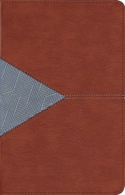 B NIV APPLICATION BIBLE  PERSONAL SIZE  BROWN/BLUE (RED LETTER EDITION)
