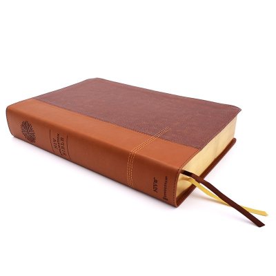 B NIV APPLICATION BIBLE  LARGE PRINT  BROWN (RED LETTER EDITION)