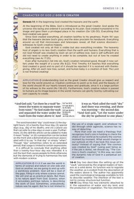 B NIV APPLICATION BIBLE  LARGE PRINT  PINK/GRAY  (RED LETTER EDITION)