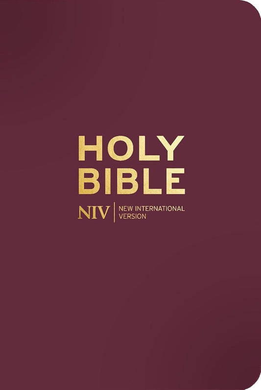 B NIV POCKET BIBLE WITH GOLD ZIP MULBERRY