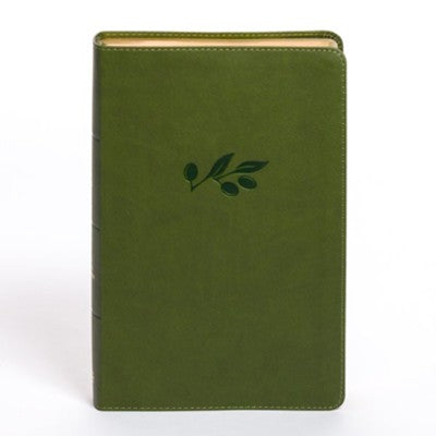 B KJV PERSONAL SIZE GIANT PRINT BIBLE OLIVE INDEXED (RED LETTER EDITION)