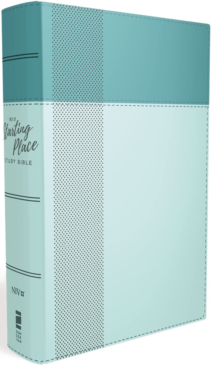 B NIV STARTING PLACE STUDY BIBLE BLUE