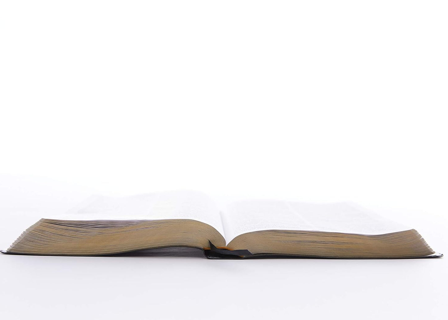 B KJV REFERENCE BIBLE SUPER GIANT PRINT BLACK (RED LETTER EDITION)