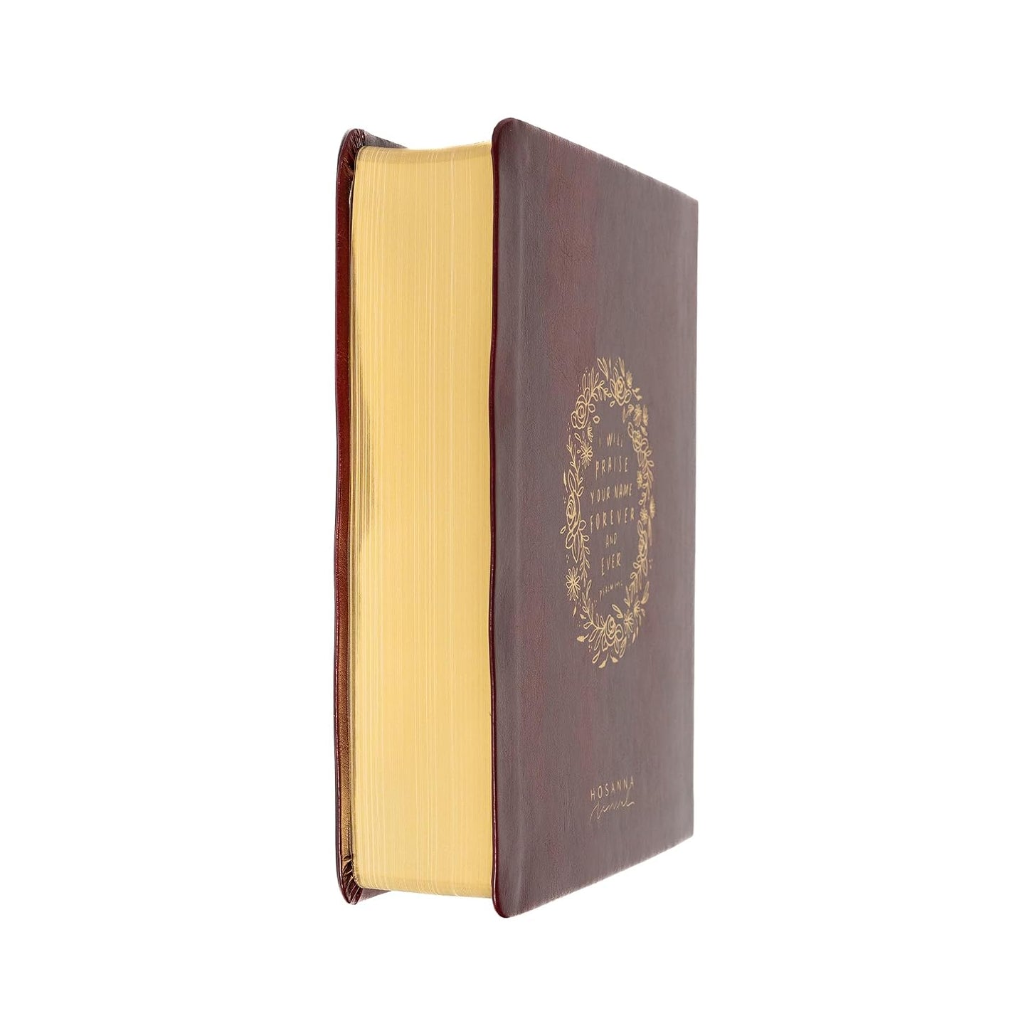B CSB HOSANNA REVIVAL NOTETAKING BIBLE BURGUNDY