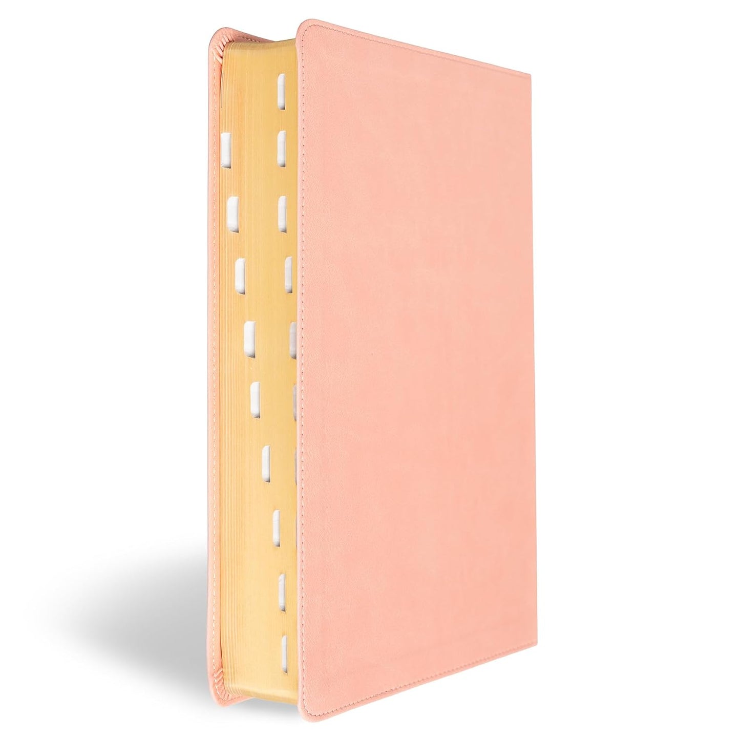 B CSB SUPER GIANT PRINT REFERENCE BIBLE  DIGITAL STUDY EDITION  PINK INDEXED (RED LETTER EDITION)