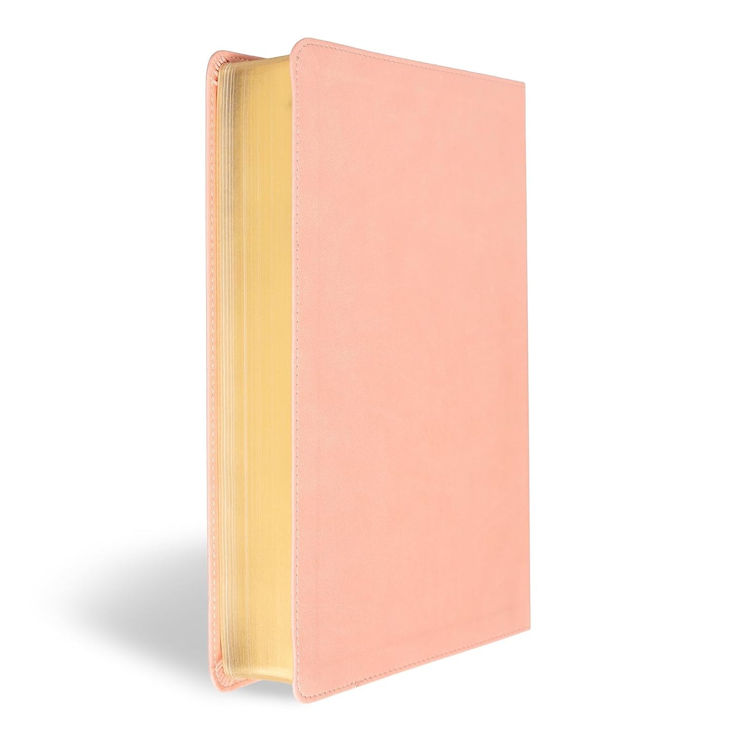 B CSB SUPER GIANT PRINT REFERENCE BIBLE  DIGITAL STUDY EDITION  PINK (RED LETTER EDITION)