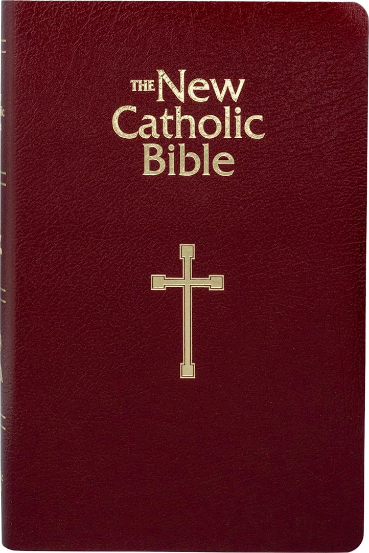 NCB GIFT & AWARD BIBLE  BURGUNDY (RED LETTER EDITION)