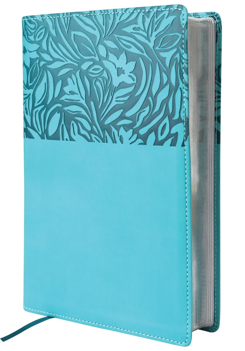 B NASB PERSONAL SIZE REFERENCE BIBLE  LARGE PRINT  TEAL  1995 TEXT (RED LETTER EDITION)