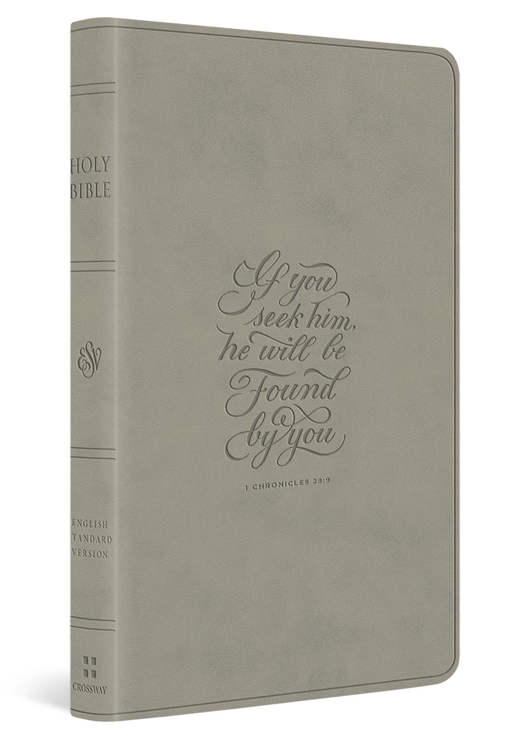 ESV LARGE PRINT VALUE THINLINE BIBLE STONE  1 CHRONICLES 28:9 DESIGN