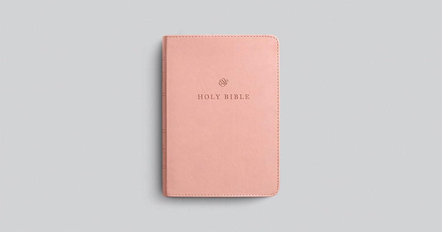 B ESV LARGE PRINT COMPACT BIBLE  BLUSH ROSE (RED LETTER EDITION)