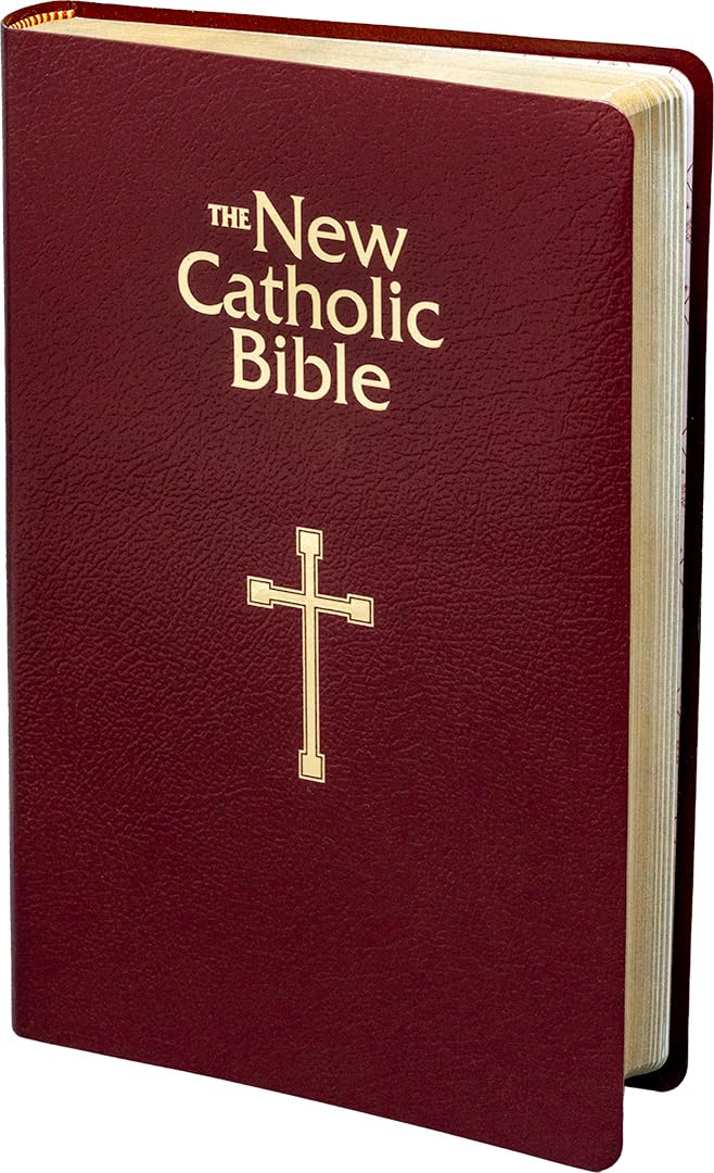 NCB GIFT & AWARD BIBLE  BURGUNDY (RED LETTER EDITION)