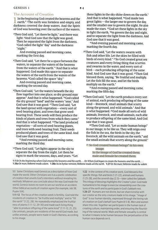 NLT EVERY WOMANS BIBLE (HARDCOVER  GOLD DUST  INDEXED  RED LETTER  FILAMENT ENABLED)