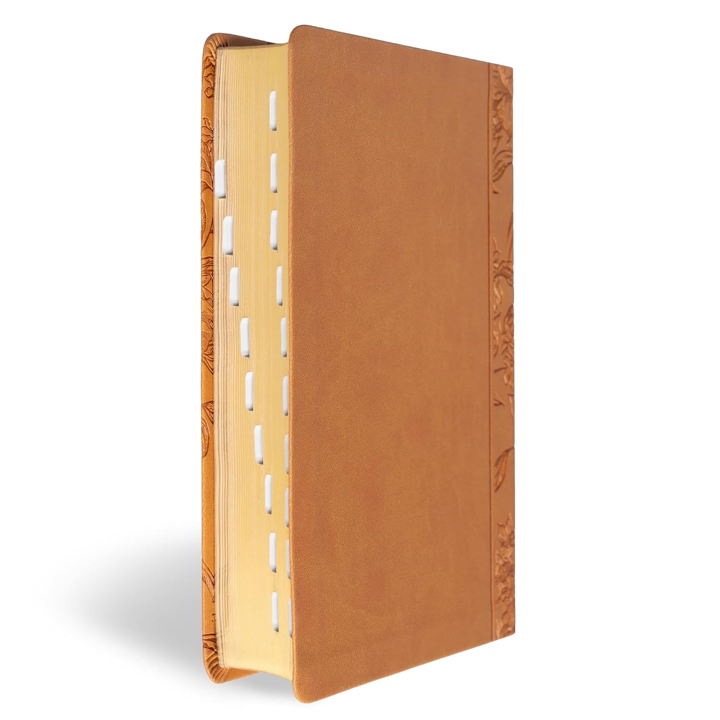 B CSB LARGE PRINT PERSONAL SIZE REFERENCE BIBLE  DIGITAL STUDY EDITION  BROWN  INDEXED (RED LETTER EDITION)
