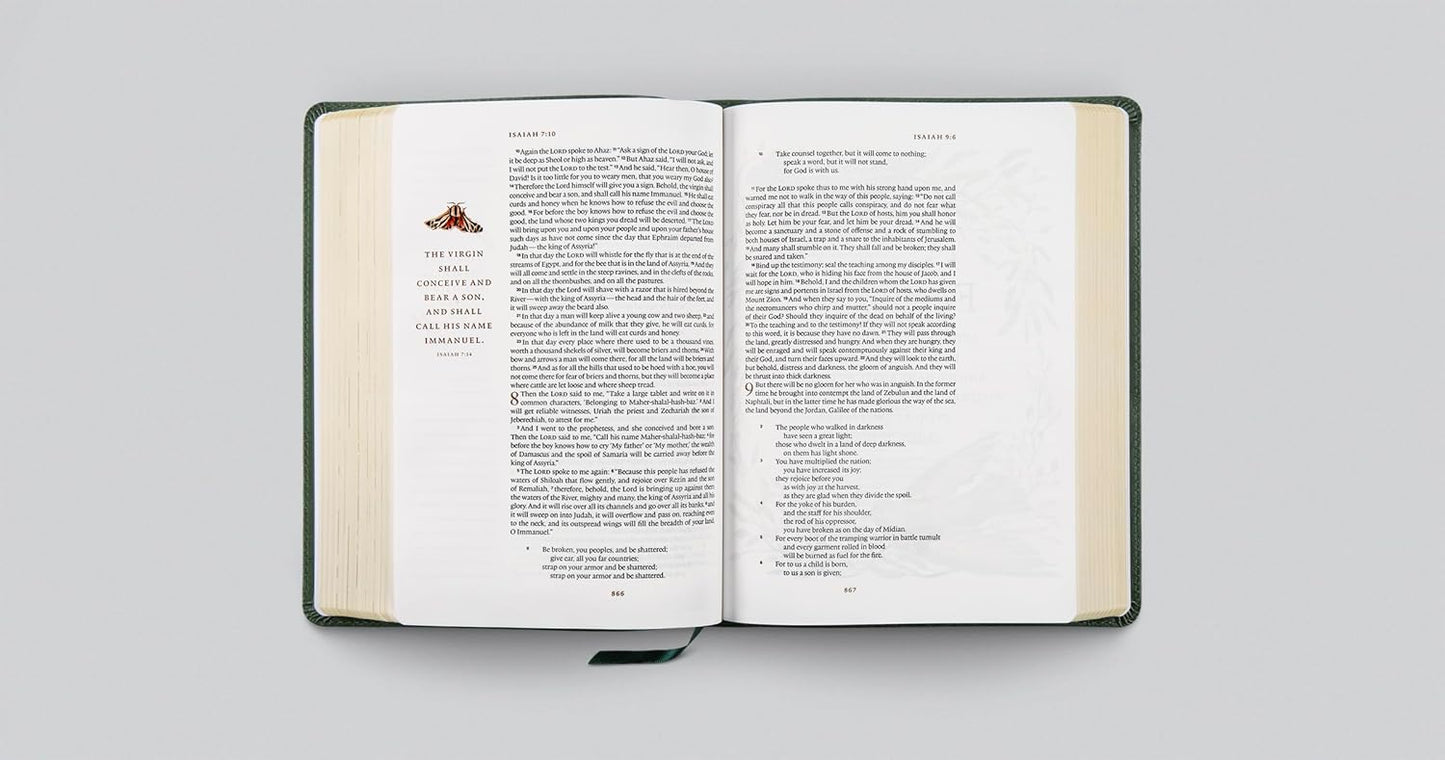 ESV GraceLaced Bible, Journaling Edition (Artwork by Ruth Chou Simons) Quiet Forest