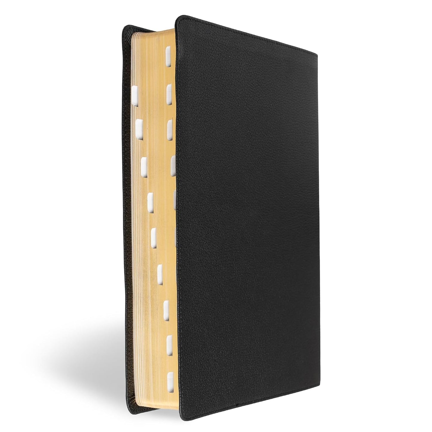 B CSB SUPER GIANT PRINT REFERENCE BIBLE  DIGITAL STUDY EDITION  BLACK INDEXED (RED LETTER EDITION)