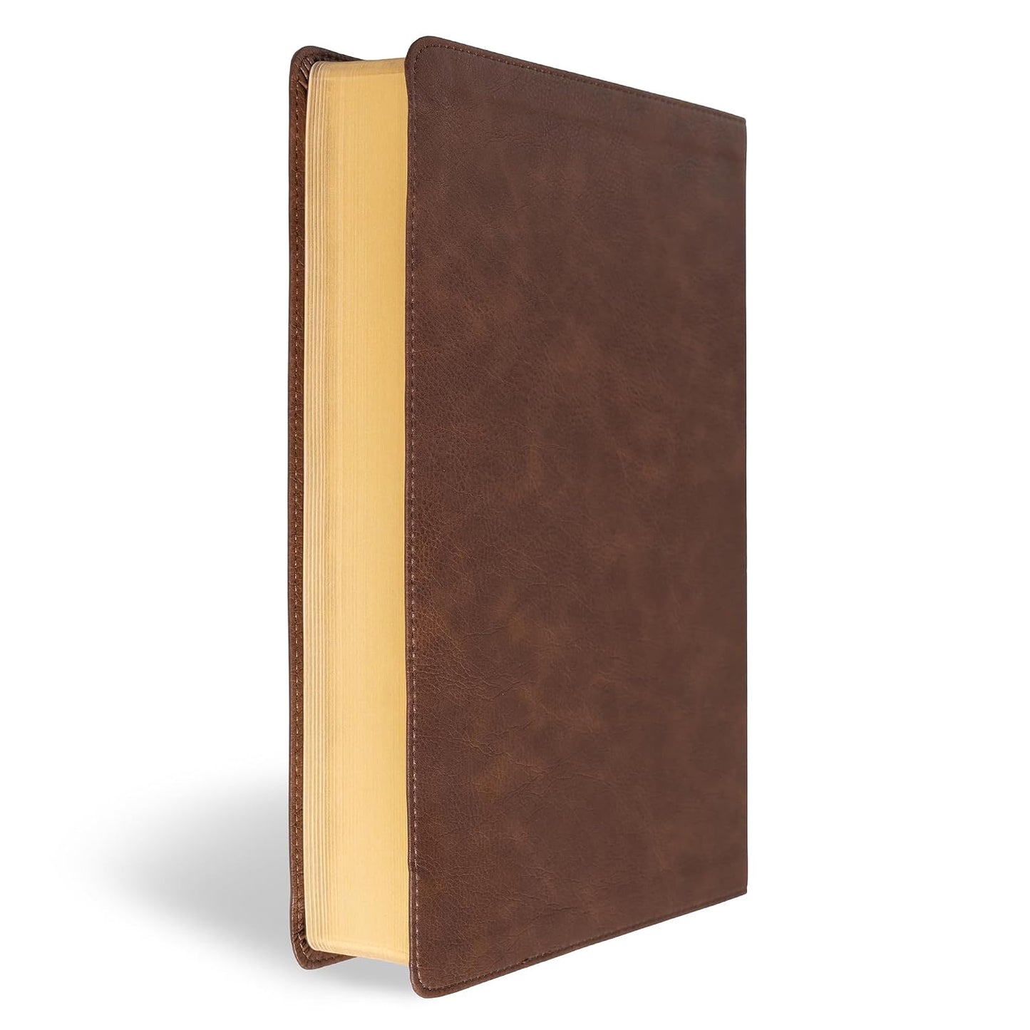 B CSB SUPER GIANT PRINT REFERENCE BIBLE  DIGITAL STUDY EDITION  BROWN (RED LETTER EDITION)