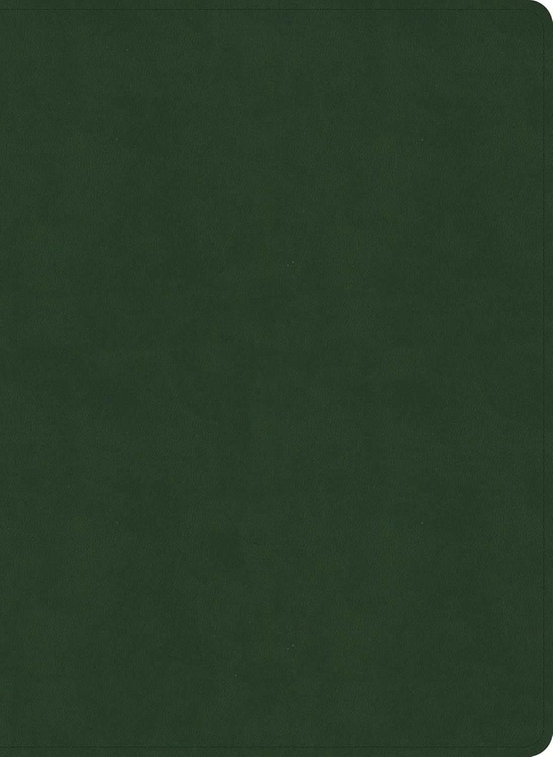 B NASB STUDY BIBLE  OLIVE INDEXED (BLACK LETTER EDITION)