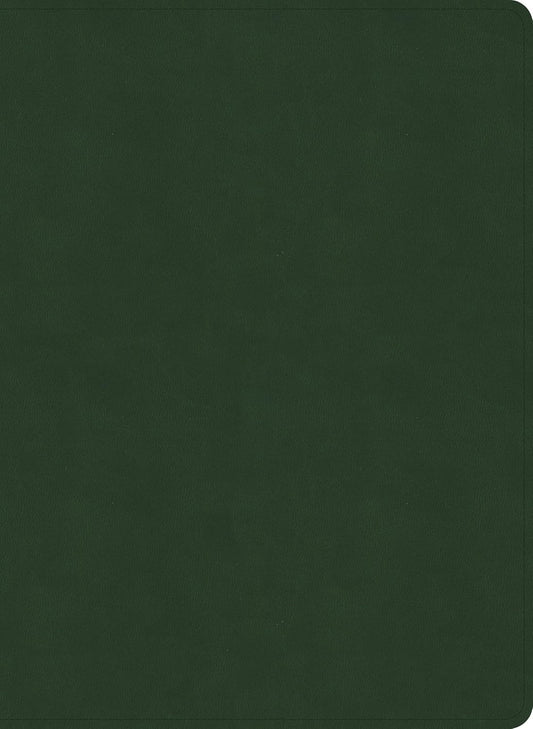 B NASB STUDY BIBLE  OLIVE INDEXED (BLACK LETTER EDITION)