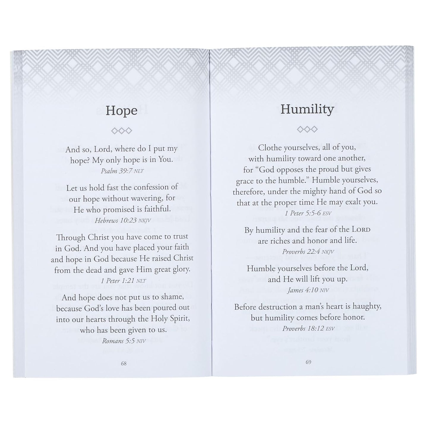 PROMISES FROM THE WORD FOR MEN