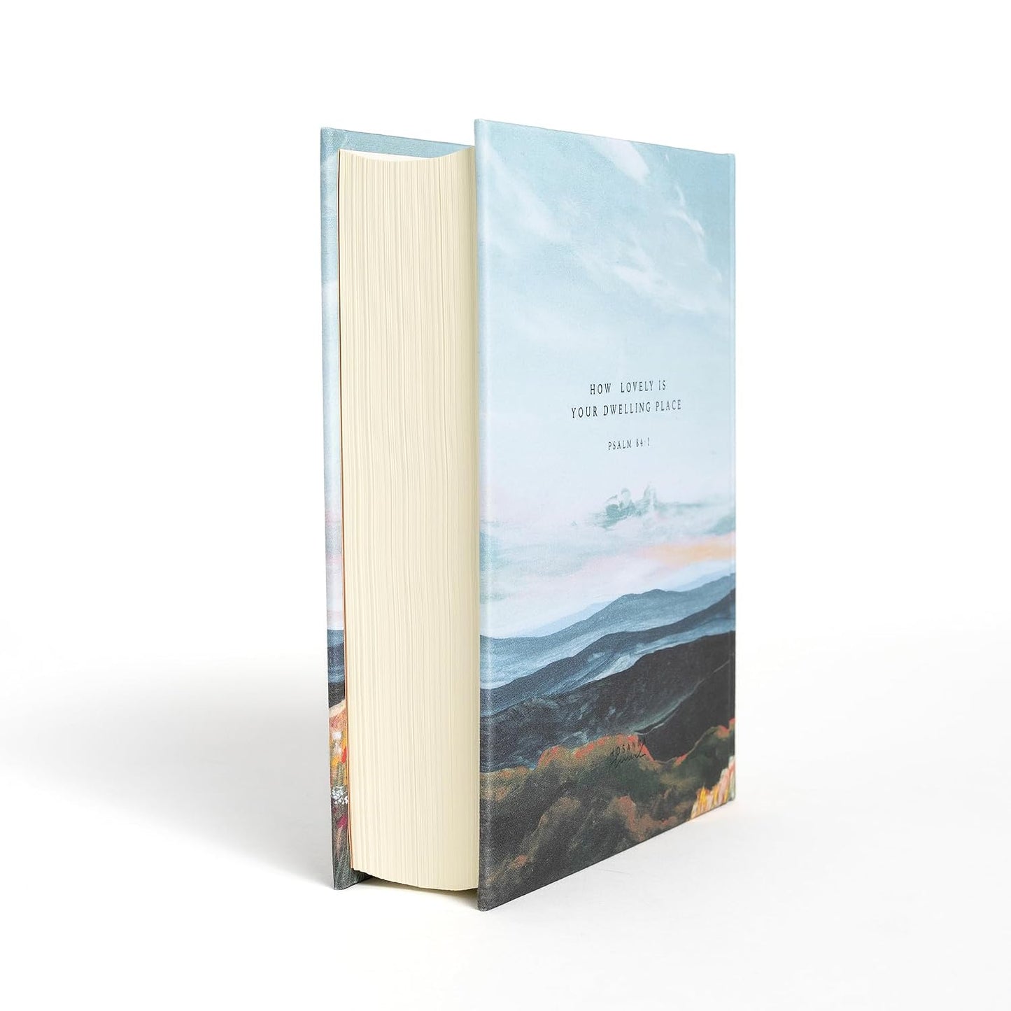 B CSB HOSANNA REVIVAL NOTETAKING BIBLE  MOUNTAIN