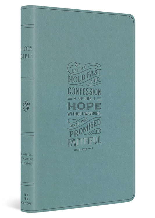 ESV LARGE PRINT VALUE THINLINE BIBLE PARIS SKY  HEBREWS 10:23 DESIGN