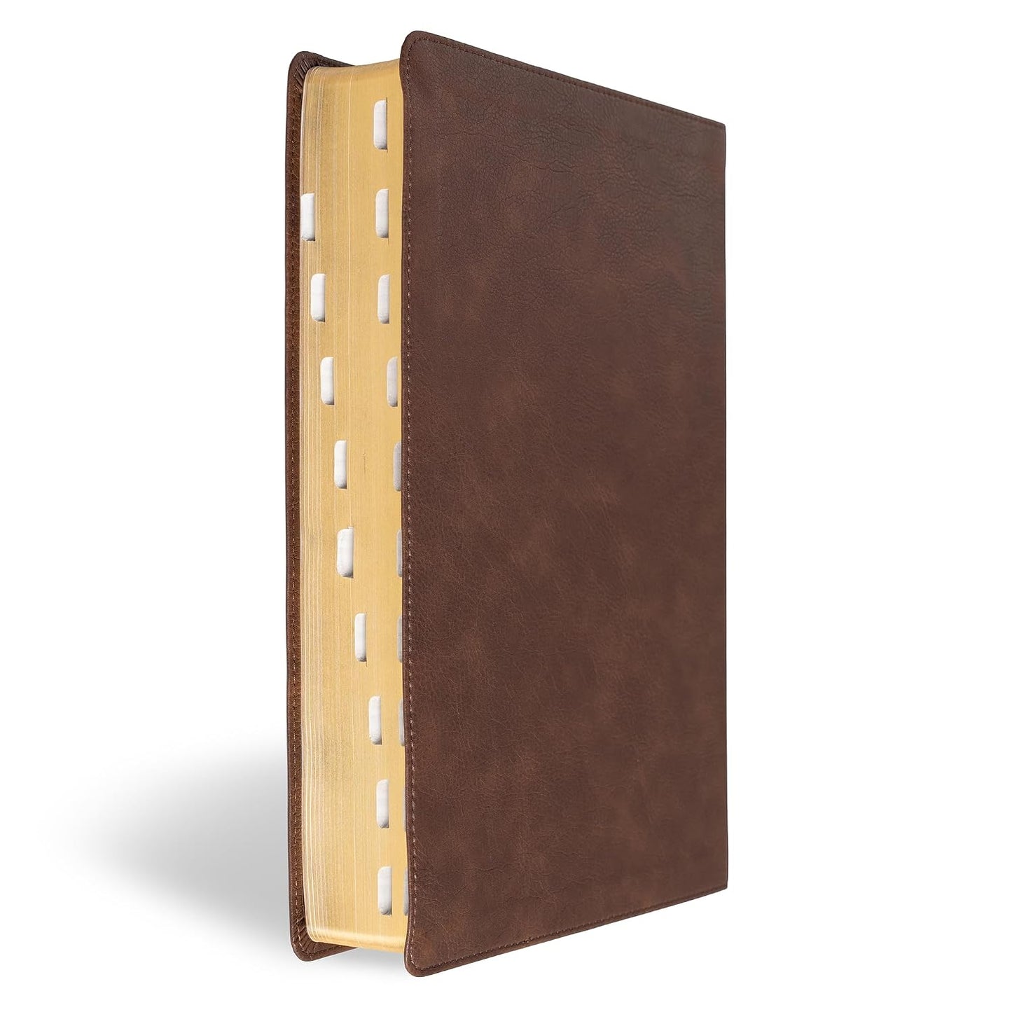 B CSB SUPER GIANT PRINT REFERENCE BIBLE  DIGITAL STUDY EDITION  BROWN INDEXED (RED LETTER EDITION)