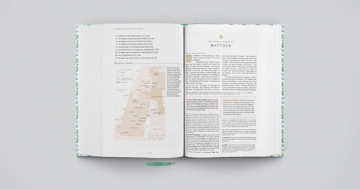 B ESV WOMEN'S STUDY BIBLE  ARTIST SERIES BY LULIE WALLACE  SARAH
